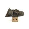 Meteorit Sericho 8,2 g / koncový řez