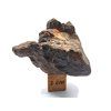 Meteorit NWA X 28,3 g