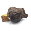 Meteorit NWA X 28,3 g