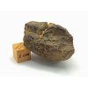 Meteorit NWA X 26,7 g