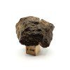 Meteorit NWA X 26,7 g