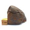 Meteorit NWA X 73,5 g