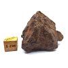 Meteorit NWA X 73,5 g