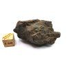 Meteorit NWA X 35,8 g