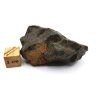 Meteorit NWA X 35,8 g
