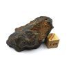 Meteorit NWA X 35,8 g