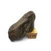 Meteorit NWA X 20,7 g