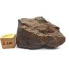 Meteorit NWA X 46,6 g