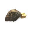 Meteorit NWA X 31,5 g