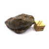 Meteorit NWA X 31,5 g