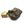 Meteorit NWA X 21,2 g