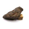 Meteorit NWA X 33,8 g