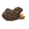 Meteorit NWA X 33,8 g