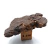 Meteorit NWA 17904 / Lodranite / 8,5 g