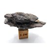 Meteorit NWA 17904 / Lodranite / 18,3 g