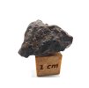Meteorit NWA 17904 / Lodranite / 4,1 g