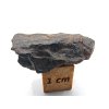 Meteorit NWA 17904 / Lodranite / 5,3 g