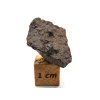 Meteorit NWA 17904 / Lodranite / 5,6 g