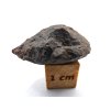 Meteorit NWA 17904 / Lodranite / 3,6 g