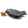 Meteorit Sikhote-Alin  60,9 g