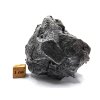Meteorit Sikhote-Alin 566 g