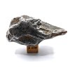 Meteorit Sikhote-Alin  74,4 g