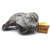 Meteorit Sikhote-Alin 66 g