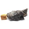 Meteorit Sikhote-Alin  72,5 g