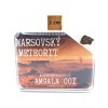 Marsovský meteorit Amgala 001 / 0,19 gr.