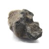 Marsovský meteorit Amgala 001 / 1,29 gr.