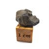 Marsovský meteorit Amgala 001 / 1,29 gr.