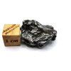 Meteorit Campo del Cielo  14,8 g