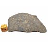 Meteorit NWA 17692 / Howardite / 17,9 g / řez