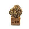 Marsovský meteorit Tarkint 001 / 1,88 g