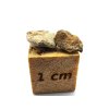 Marsovský meteorit Tarkint 001 / 0,21 gr.
