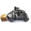 Meteorit Campo del Cielo  45,6 g