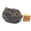 Meteorit NWA 869 / 25,7 gr.