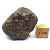 Meteorit NWA 869 / 25,7 gr.