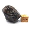 Meteorit NWA 869 / 25,7 gr.