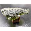 Vltavín / Moldavite 6,3 g
