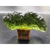 Vltavín / Moldavite 4,6 g
