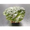 Vltavín / Moldavite 3,7 g