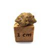 Marsovský meteorit Tarkint 001 / 0,32 gr.