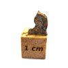 Marsovský meteorit Tarkint 001 / 0,21 g / řez