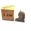 Marsovský meteorit Tarkint 001 / 0,21 g / řez