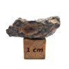 Lunární meteorit Bechar 006 / 2,6 gr.