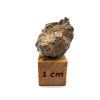 Lunární meteorit Bechar 006 / 2,1 g