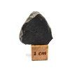 Aukce #191 / Meteorit NWA 14131 / Eucrit / 6,9