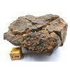 Meteorit NWA X 320 g