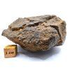 Meteorit NWA X 320 g